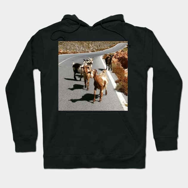 Funny Goat Hoodie by GRKiT